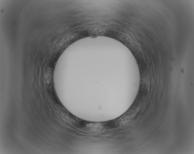 X0000087360133200705181201