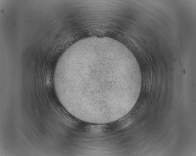 X0000087360134200705181201