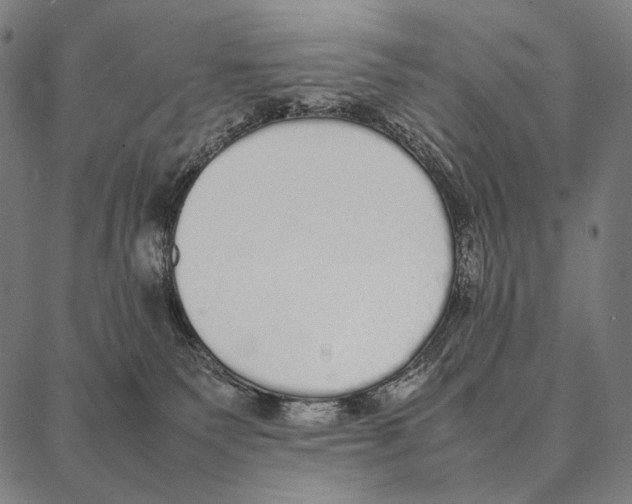 X0000087360135200705181201