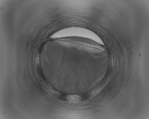 X0000087360137200705181201