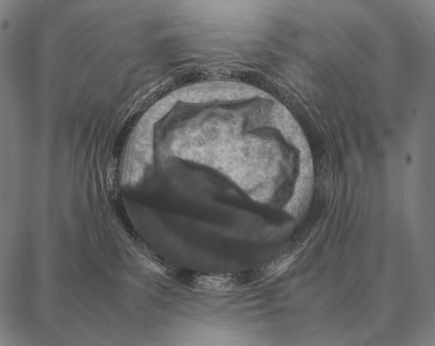 X0000087360139200705181201