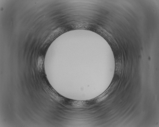 X0000087360142200705181201