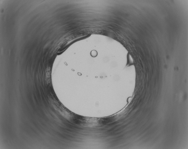 X0000087360144200705181201