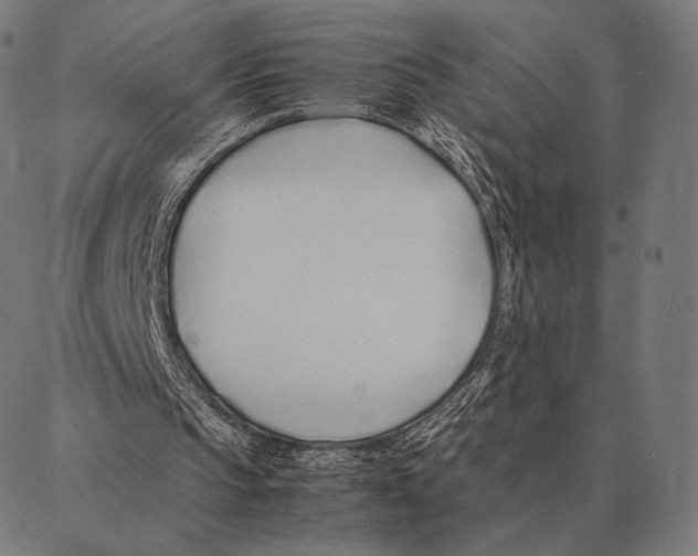 X0000087360145200705181200