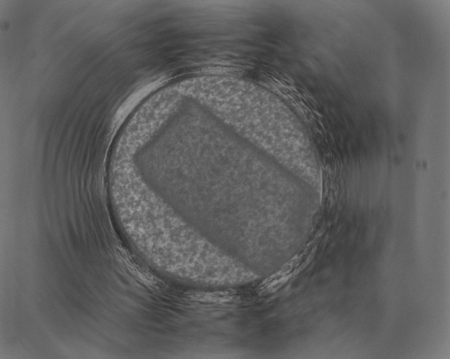 X0000087360147200705181200