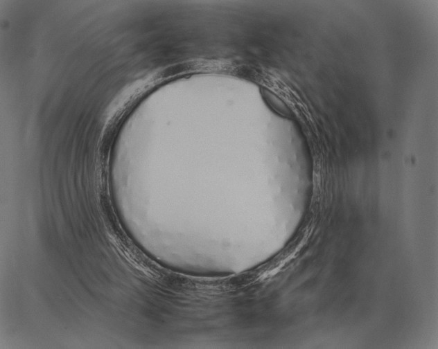 X0000087360149200705181200