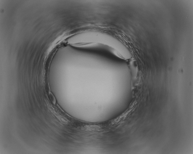 X0000087360150200705181200