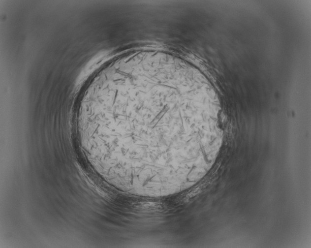 X0000087360151200705181200