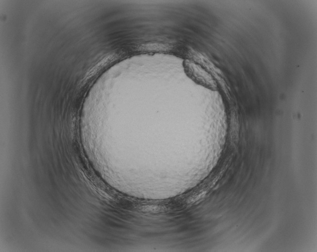 X0000087360153200705181200