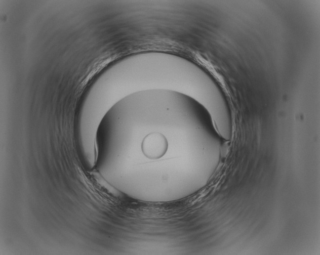 X0000087360154200705181200