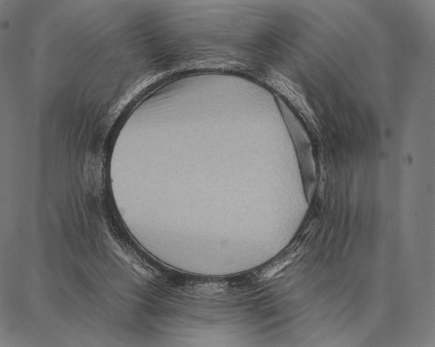 X0000087360156200705181200