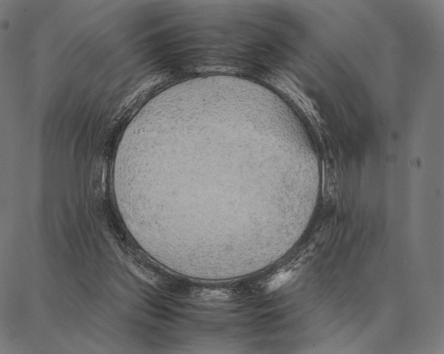 X0000087360157200705181200