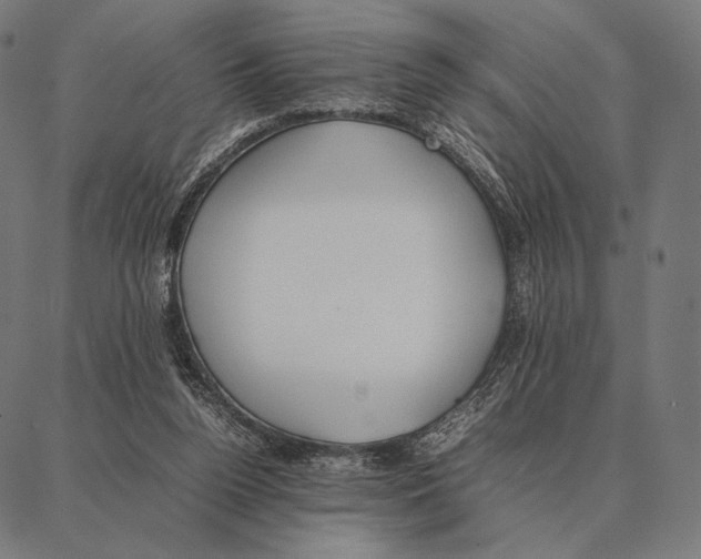 X0000087360160200705181200