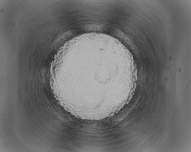 X0000087360161200705181200