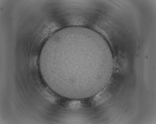 X0000087360162200705181200