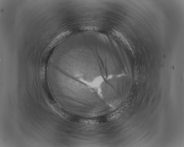 X0000087360163200705181200