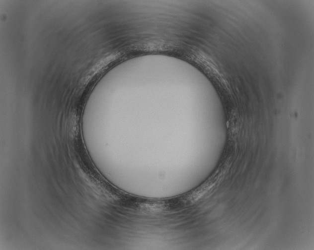 X0000087360164200705181200