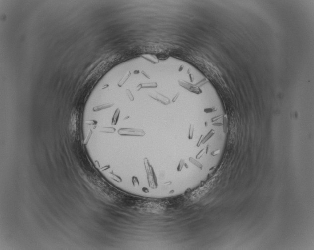 X0000087360166200705181200