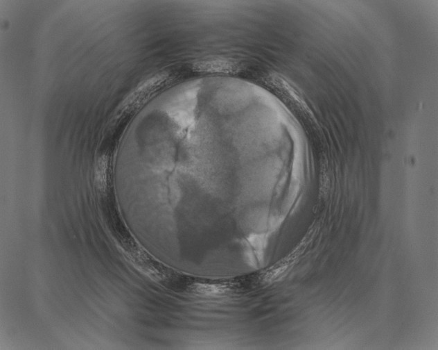 X0000087360167200705181200