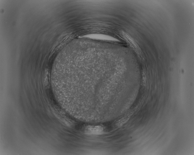 X0000087360169200705181200