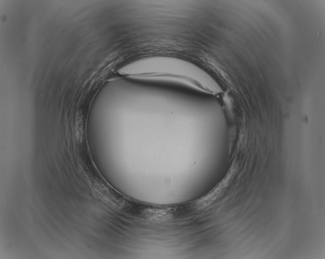 X0000087360170200705181200