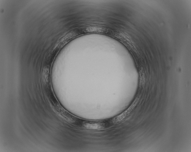 X0000087360171200705181200