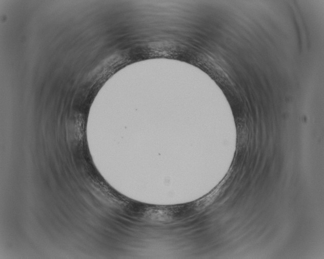 X0000087360174200705181200