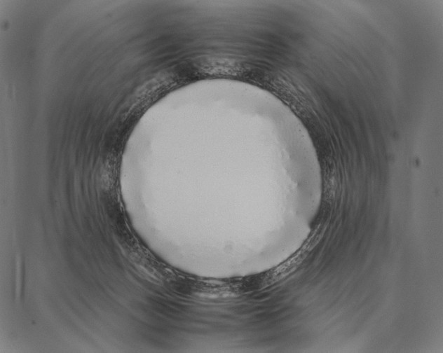 X0000087360175200705181200