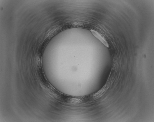 X0000087360176200705181200