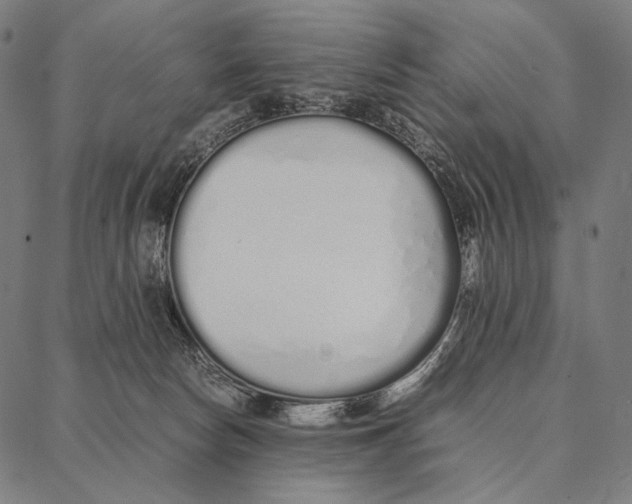 X0000087360178200705181200