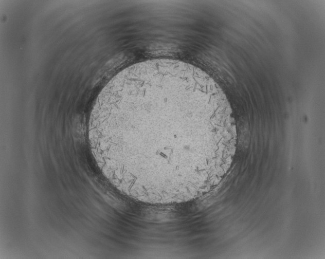 X0000087360179200705181200