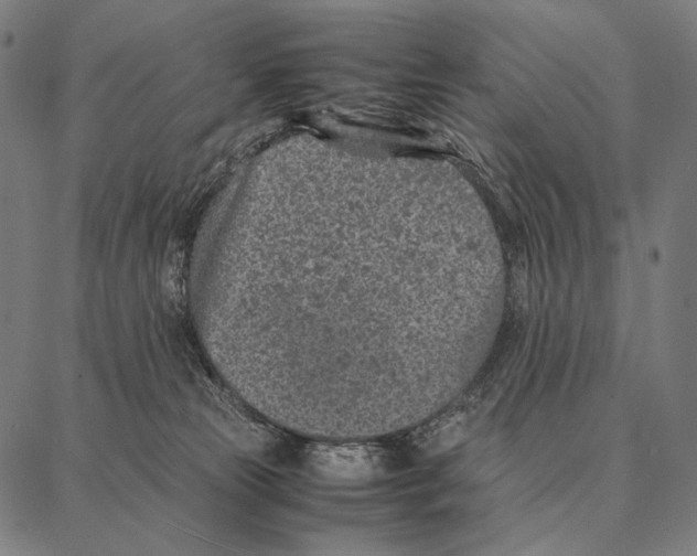 X0000087360181200705181200