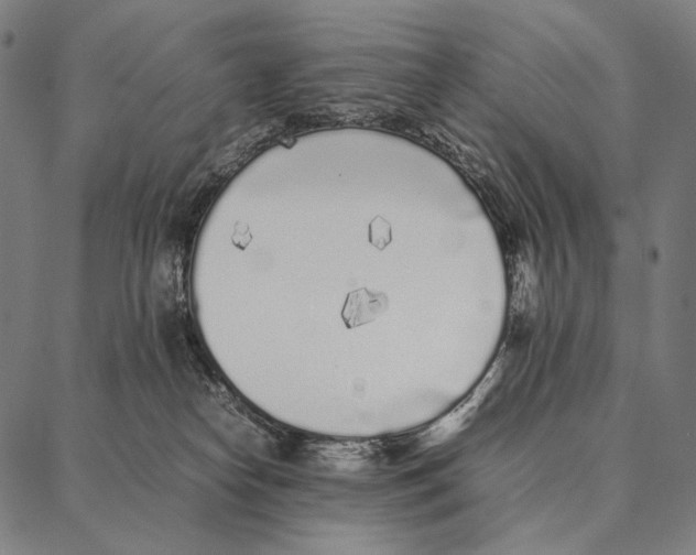 X0000087360182200705181200