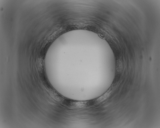 X0000087360184200705181201