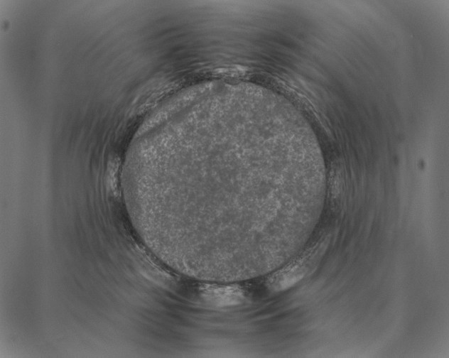 X0000087360185200705181201