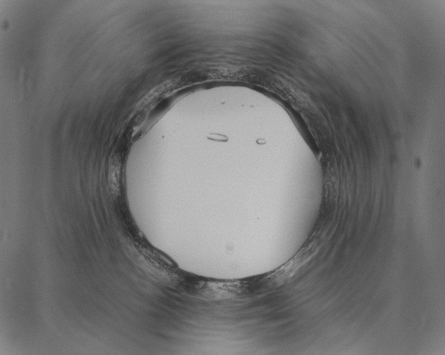 X0000087360188200705181201