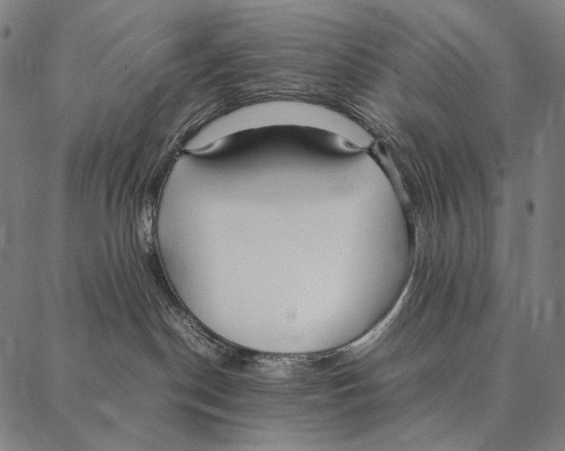 X0000087360190200705181201