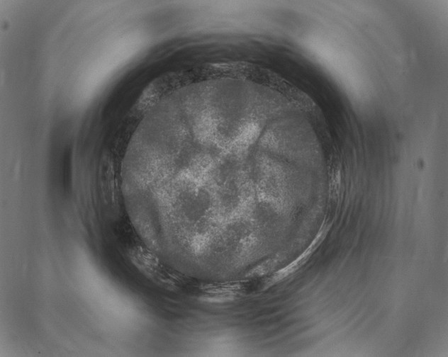 X0000087360191200705181201