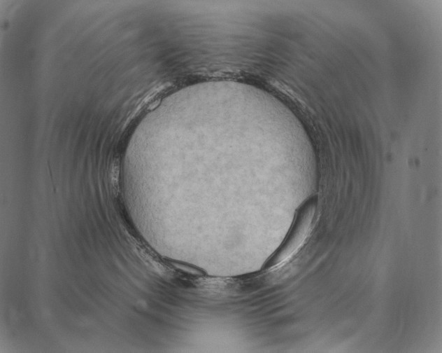 X0000087360192200705181201