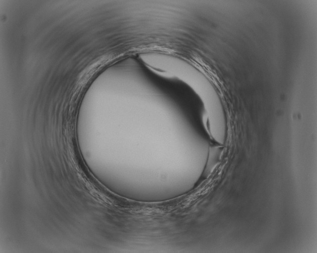 X0000087360193200705181200