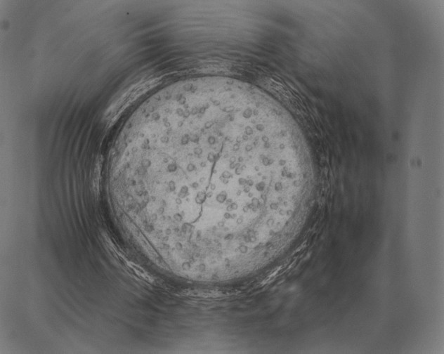 X0000087360194200705181200