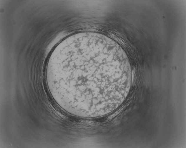 X0000087360195200705181200