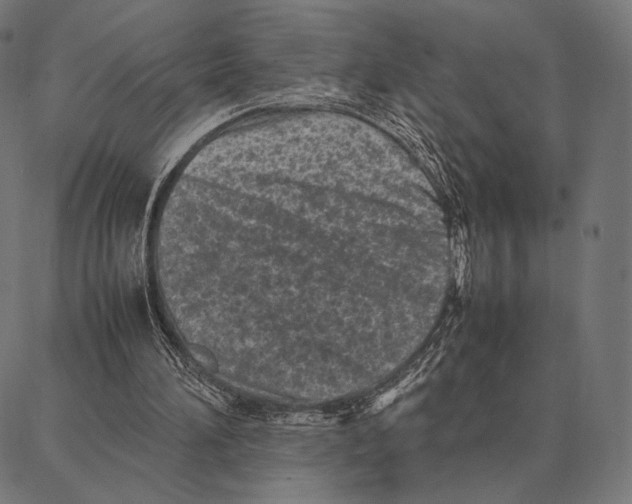 X0000087360196200705181200