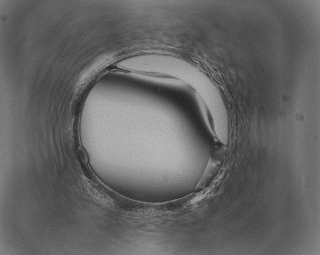 X0000087360197200705181200