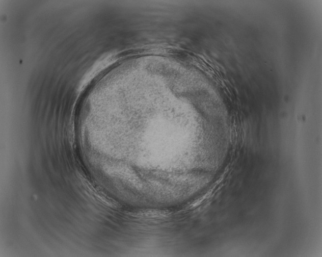 X0000087360198200705181200