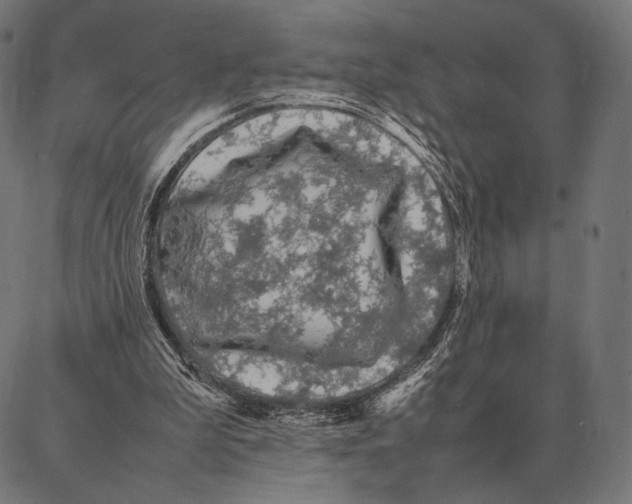 X0000087360199200705181200