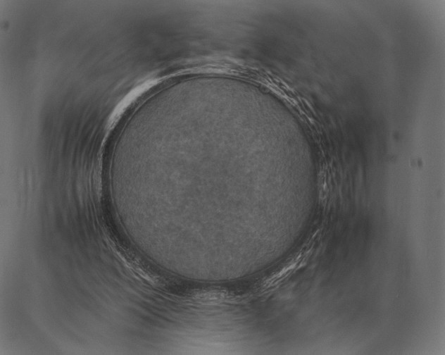 X0000087360200200705181200