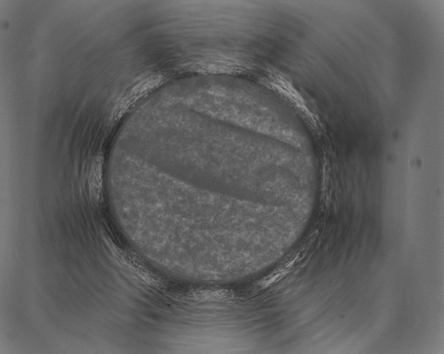 X0000087360202200705181200