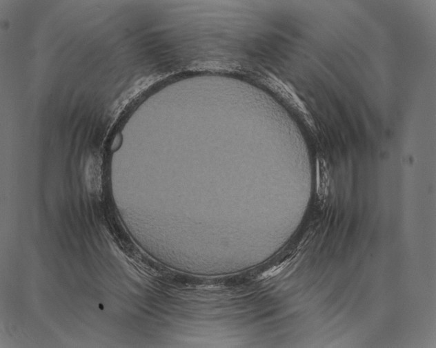 X0000087360204200705181200