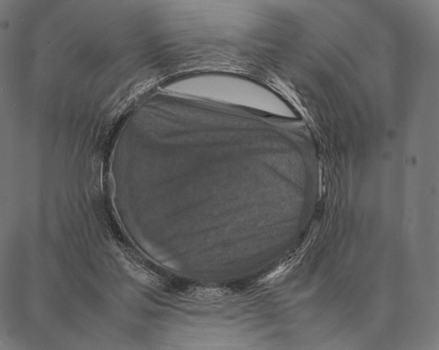 X0000087360205200705181200